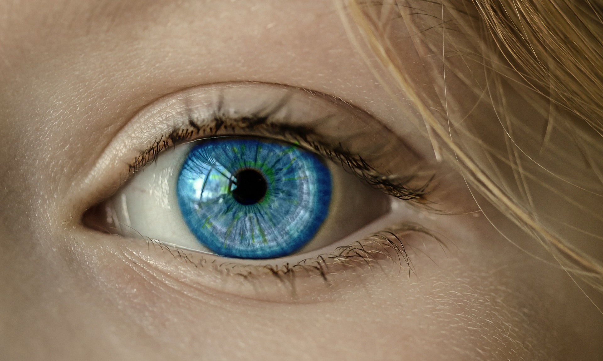 CTN Optik